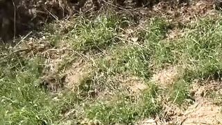 Milfs in Heat two - Episode two