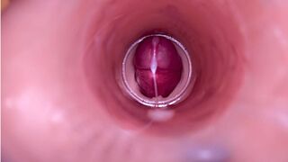 Female Insemination - Internal Web camera Captures Deep Male Ejaculation